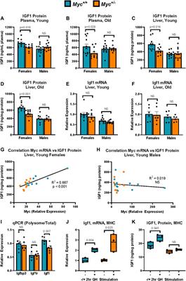 Regulation of the somatotropic axis by MYC-mediated miRNA repression